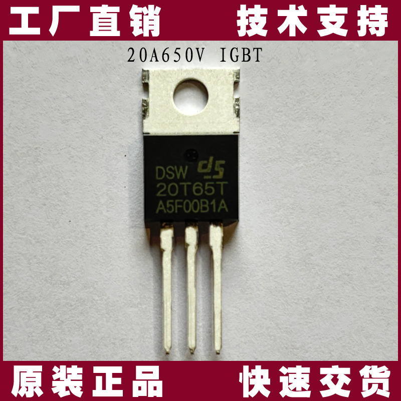 DSW20T65T-充電機-IGBT